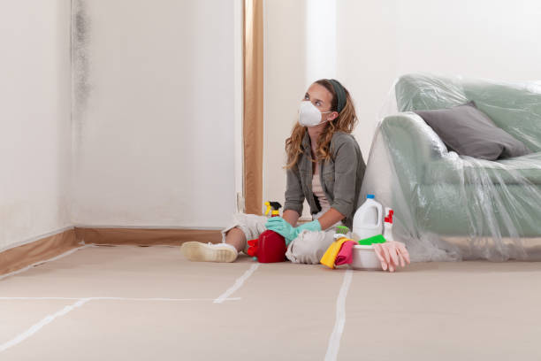 Reliable Mold Remediation contractor in Rogers, TX by WQB Mold Removal